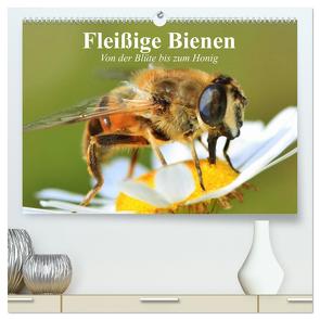 Fleißige Bienen. Von der Blüte bis zum Honig (hochwertiger Premium Wandkalender 2024 DIN A2 quer), Kunstdruck in Hochglanz von Stanzer,  Elisabeth