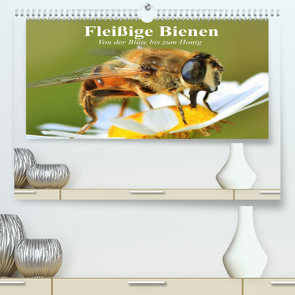 Fleißige Bienen. Von der Blüte bis zum Honig (Premium, hochwertiger DIN A2 Wandkalender 2022, Kunstdruck in Hochglanz) von Stanzer,  Elisabeth