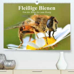 Fleißige Bienen. Von der Blüte bis zum Honig (Premium, hochwertiger DIN A2 Wandkalender 2023, Kunstdruck in Hochglanz) von Stanzer,  Elisabeth