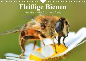 Fleißige Bienen. Von der Blüte bis zum Honig (Wandkalender 2018 DIN A4 quer) von Stanzer,  Elisabeth