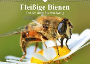 Fleißige Bienen. Von der Blüte bis zum Honig (Wandkalender 2019 DIN A3 quer) von Stanzer,  Elisabeth