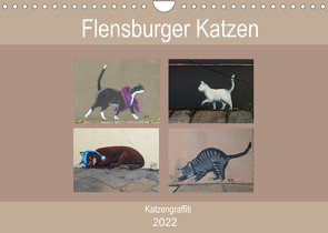 Flensburger Katzen (Wandkalender 2022 DIN A4 quer) von Busch,  Martina