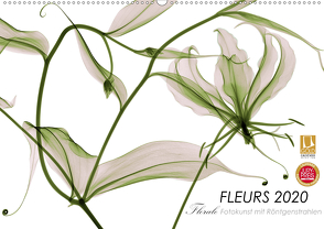 FLEURS 2020 – Florale Fotokunst mit Röntgenstrahlen (Premium, hochwertiger DIN A2 Wandkalender 2020, Kunstdruck in Hochglanz) von Martin Strunk,  Dr.