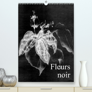 Fleurs noir (Premium, hochwertiger DIN A2 Wandkalender 2022, Kunstdruck in Hochglanz) von Küster,  Friederike
