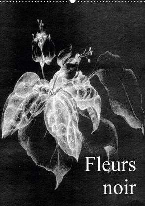 Fleurs noir (Wandkalender 2018 DIN A2 hoch) von Küster,  Friederike