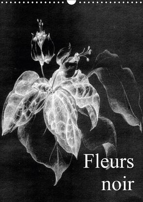 Fleurs noir (Wandkalender 2018 DIN A3 hoch) von Küster,  Friederike