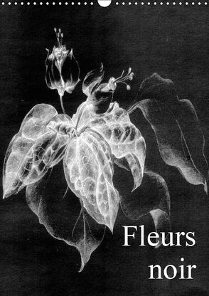 Fleurs noir (Wandkalender 2019 DIN A3 hoch) von Küster,  Friederike