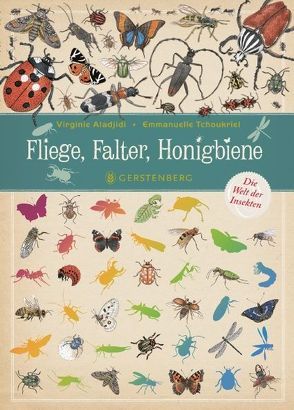 Fliege, Falter, Honigbiene von Aladjidi,  Virginie, Tchoukriel,  Emmanuelle