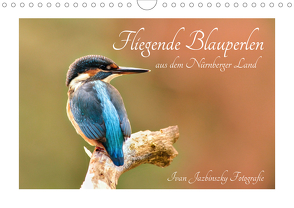 Fliegende Blauperlen aus dem Nürnberger Land (Wandkalender 2020 DIN A4 quer) von Jazbinszky,  Ivan