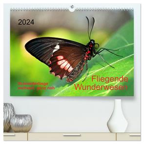 Fliegende Wunderwesen. Schmetterlinge weltweit, ganz nah (hochwertiger Premium Wandkalender 2024 DIN A2 quer), Kunstdruck in Hochglanz von Zeidler,  Thomas