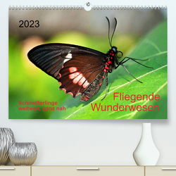 Fliegende Wunderwesen. Schmetterlinge weltweit, ganz nah (Premium, hochwertiger DIN A2 Wandkalender 2023, Kunstdruck in Hochglanz) von Zeidler,  Thomas