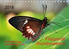 Fliegende Wunderwesen. Schmetterlinge weltweit, ganz nah (Tischkalender 2018 DIN A5 quer) von Zeidler,  Thomas