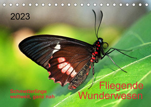 Fliegende Wunderwesen. Schmetterlinge weltweit, ganz nah (Tischkalender 2023 DIN A5 quer) von Zeidler,  Thomas