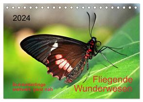 Fliegende Wunderwesen. Schmetterlinge weltweit, ganz nah (Tischkalender 2024 DIN A5 quer), CALVENDO Monatskalender von Zeidler,  Thomas