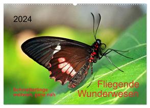 Fliegende Wunderwesen. Schmetterlinge weltweit, ganz nah (Wandkalender 2024 DIN A2 quer), CALVENDO Monatskalender von Zeidler,  Thomas