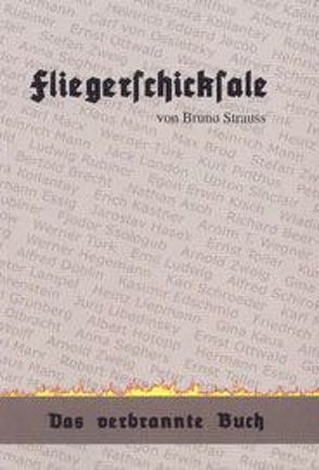 Fliegerschicksale von Pirk,  M E, Strauss,  Bruno