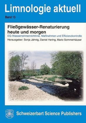 Fließgewässer-Renaturierung heute und morgen von Hering,  Daniel, Jähnig,  Sonja, Sommerhäuser,  Mario