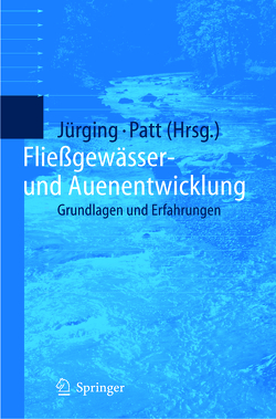Fließgewässer- und Auenentwicklung von Jürging,  Peter