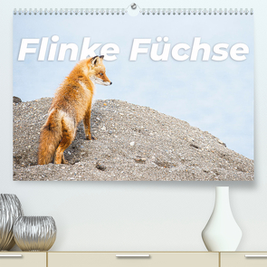 Flinke Füchse (hochwertiger Premium Wandkalender 2024 DIN A2 quer), Kunstdruck in Hochglanz von Monkey,  Happy