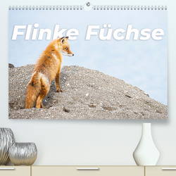 Flinke Füchse (Premium, hochwertiger DIN A2 Wandkalender 2024, Kunstdruck in Hochglanz) von Monkey,  Happy