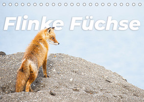 Flinke Füchse (Tischkalender 2024 DIN A5 quer), CALVENDO Monatskalender von Monkey,  Happy