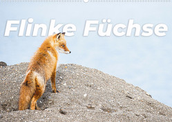 Flinke Füchse (Wandkalender 2024 DIN A2 quer) von Monkey,  Happy