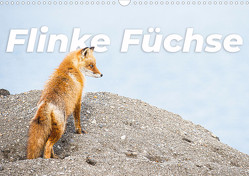 Flinke Füchse (Wandkalender 2024 DIN A3 quer) von Monkey,  Happy