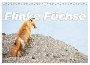 Flinke Füchse (Wandkalender 2024 DIN A4 quer), CALVENDO Monatskalender von Monkey,  Happy