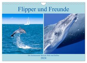 Flipper und Freunde (Wandkalender 2024 DIN A4 quer), CALVENDO Monatskalender von Travelpixx.com,  Travelpixx.com