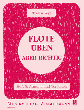 Flöte üben – aber richtig von Wye,  Trevor