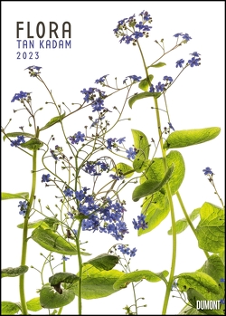 Flora 2023 – Blumen-Kalender von DUMONT– Foto-Kunst von Tan Kadam – Poster-Format 50 x 70 cm von Kadam,  Tan
