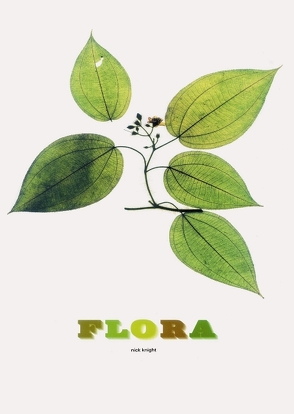 Flora von Knapp,  Sandra, Knight,  Nick