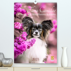 Flora Canidae – der Hunde-Blühpflanzen-Kalender (Premium, hochwertiger DIN A2 Wandkalender 2023, Kunstdruck in Hochglanz) von boegau-fotos