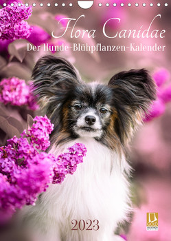 Flora Canidae – der Hunde-Blühpflanzen-Kalender (Wandkalender 2023 DIN A4 hoch) von boegau-fotos