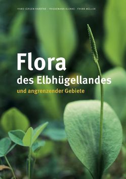 Flora des Elbhügellandes und angrenzender Gebiete von Hardtke,  Hans-Jürgen, Klenke,  Friedemann, Mueller,  Frank