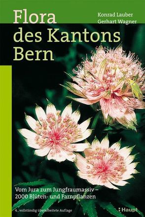 Flora des Kantons Bern von Gygax,  Andreas, Lauber,  Konrad, Wagner,  Gerhart