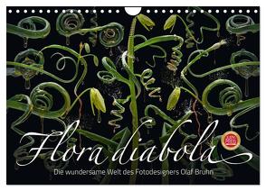 Flora diabola – Die wundersame Welt des Fotodesigners Olaf Bruhn (Wandkalender 2024 DIN A4 quer), CALVENDO Monatskalender von Bruhn,  Olaf