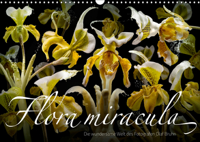 Flora miracula – Die wundersame Welt des Fotografen Olaf Bruhn (Wandkalender 2019 DIN A3 quer) von Bruhn,  Olaf