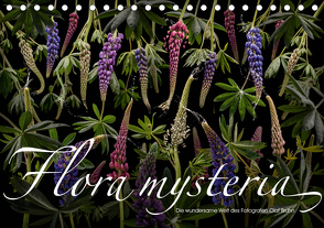 Flora mysteria – Die wundersame Welt des Fotografen Olaf Bruhn (Tischkalender 2020 DIN A5 quer) von Bruhn,  Olaf