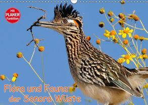 Flora und Fauna der Sonora Wüste (Wandkalender 2019 DIN A3 quer) von Wilczek,  Dieter-M.