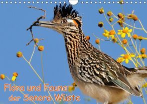 Flora und Fauna der Sonora Wüste (Wandkalender 2019 DIN A4 quer) von Wilczek,  Dieter-M.