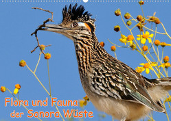 Flora und Fauna der Sonora Wüste (Wandkalender 2023 DIN A2 quer) von Wilczek,  Dieter