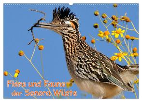 Flora und Fauna der Sonora Wüste (Wandkalender 2024 DIN A2 quer), CALVENDO Monatskalender von Wilczek,  Dieter