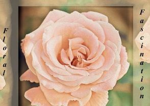 Floral Fascination (Posterbuch DIN A4 quer) von r.gue.,  k.A.