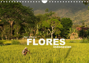 Flores – Indonesien (Wandkalender 2023 DIN A4 quer) von Schickert,  Peter