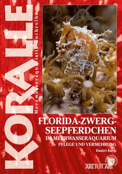 Florida-Zwergseepferdchen im Meerwasseraquarium von Knop,  Daniel