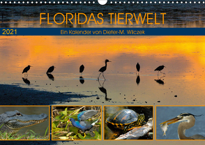 FLORIDAS TIERWELT (Wandkalender 2021 DIN A3 quer) von Wilczek,  Dieter-M.