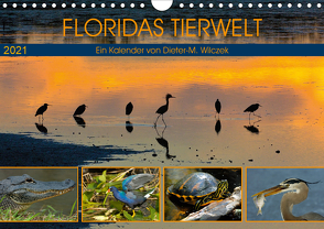 FLORIDAS TIERWELT (Wandkalender 2021 DIN A4 quer) von Wilczek,  Dieter-M.