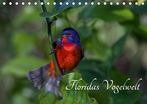 Floridas Vogelwelt (Tischkalender 2019 DIN A5 quer) von Weise / natureinimages.com,  Ralf