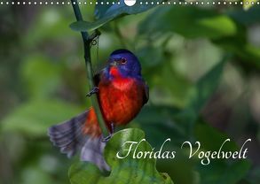Floridas Vogelwelt (Wandkalender 2019 DIN A3 quer) von Weise / natureinimages.com,  Ralf